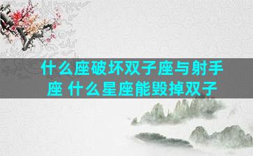 什么座破坏双子座与射手座 什么星座能毁掉双子